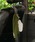 DULTONi_gj́uTISSUE CASE STRIPE/eBbV P[X XgCvi[ObYjvbO[