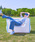 lightreeiCc[j́uqLightree Cc[rDREAMI SOFA/h[~B \t@ 1lpGA\t@iƋjvbu[