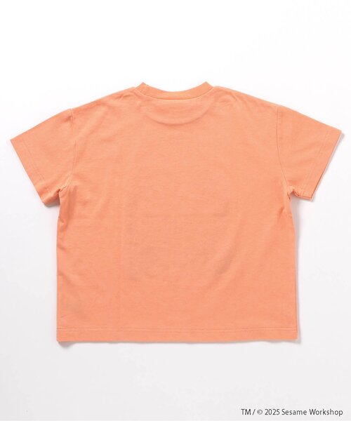 SESAME STREET（セサミストリート）の「SESAME STREET 和柄Tシャツ（Tシャツ/カットソー・キッズ・ミント/オレンジ・80/90/100/110/120/130）」の8枚目の写真