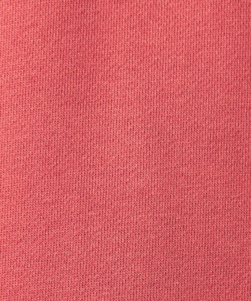 Champion(チャンピオン)の「【別注】<Champion>クルーネック 長袖 スウェット(スウェット・メンズ・レッド/ケリーグリーン/ダークグレー/グレー・M/L)」の19枚目の写真