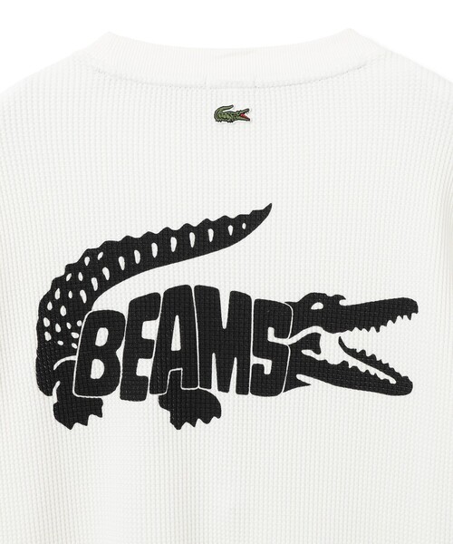 LACOSTE(ラコステ)の「【別注】LACOSTE / ロゴ サーマル Tシャツ(Tシャツ/カットソー・メンズ・グレー/ブラック/ホワイト・SMALL/MEDIUM/X-LARGE/LARGE)」の7枚目の写真