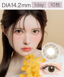 AngelColor Bambi Series Vintage 1day ヴィンテージヘーゼル(10枚入り)