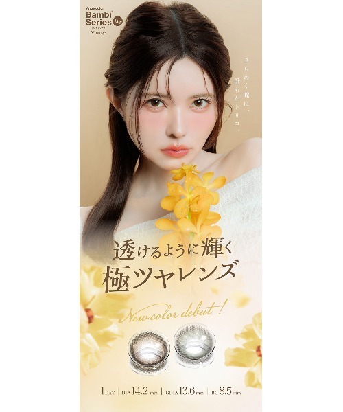 Angelcolor(エンジェルカラー)の「AngelColor Bambi Series Vintage 1day ヴィンテージヘーゼル(10枚入り)(コンタクトレンズ・カラコン・レディース・ブラウン・±0.00/-0.50/-0.75/-1.00/-1.25/-1.50/-1.75/-2.00/-2.25/-2.50/-2.75/-3.00/-3.25/-3.50/-3.75/-4.00/-4.25/-4.50/-4.75/-5.00/-5.25/-5.50/-5.75/-6.00/-6.50/-7.00/-7.50/-8.00/-8.50/-9.00/-9.50/-10.00)」の8枚目の写真