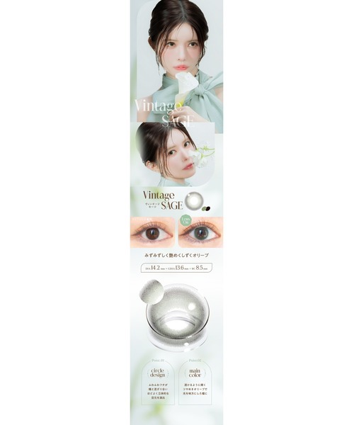 Angelcolor(エンジェルカラー)の「AngelColor Bambi Series Vintage 1day ヴィンテージヘーゼル(10枚入り)(コンタクトレンズ・カラコン・レディース・ブラウン・±0.00/-0.50/-0.75/-1.00/-1.25/-1.50/-1.75/-2.00/-2.25/-2.50/-2.75/-3.00/-3.25/-3.50/-3.75/-4.00/-4.25/-4.50/-4.75/-5.00/-5.25/-5.50/-5.75/-6.00/-6.50/-7.00/-7.50/-8.00/-8.50/-9.00/-9.50/-10.00)」の11枚目の写真