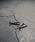 YArKA�i���[�J�j�́u�yYArKA/���[�J�zsilver925 cross pole pierce[kuk]/�N���X�|�[���s�A�X �V���o�[925�i�s�A�X�i�����p�j�j�v�b�V���o�[