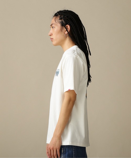 AVIREX（アヴィレックス）の「【WEB&DEPOT限定】SURFING BEAR SHORT SLEEVE T-SHIRT / サーフィン ベア ショートスリーブ Tシャツ / AVIREX / アヴィレックス（Tシャツ/カットソー・メンズ・ホワイト/ブラック・MEDIUM/LARGE/X-LARGE/XX-LARGE）」の8枚目の写真