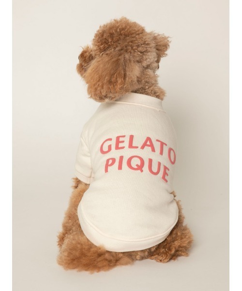 gelato pique(ジェラートピケ)の「【CAT&DOG】【販路限定商品】裏毛プルオーバー(ペットウェア・レディース・パープル/オフホワイト/ピンク・SMALL/LARGE/MEDIUM)」の1枚目の写真