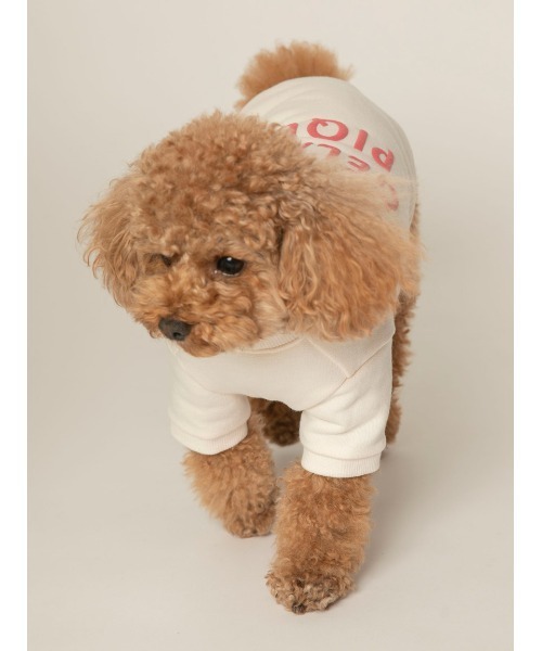 gelato pique(ジェラートピケ)の「【CAT&DOG】【販路限定商品】裏毛プルオーバー(ペットウェア・レディース・パープル/オフホワイト/ピンク・SMALL/LARGE/MEDIUM)」の16枚目の写真