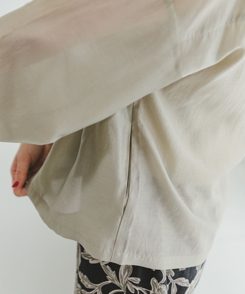 ITEMS URBANRESEARCH(アイテムズ アーバンリサーチ)の「シアーVネックブルゾン(ブルゾン・レディース・ベージュ系その他/ブラウン・FREE)」の20枚目の写真