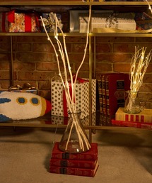 niko and...(jRAh)́y2025XmaszLEDu`/S70cm(CeAG)