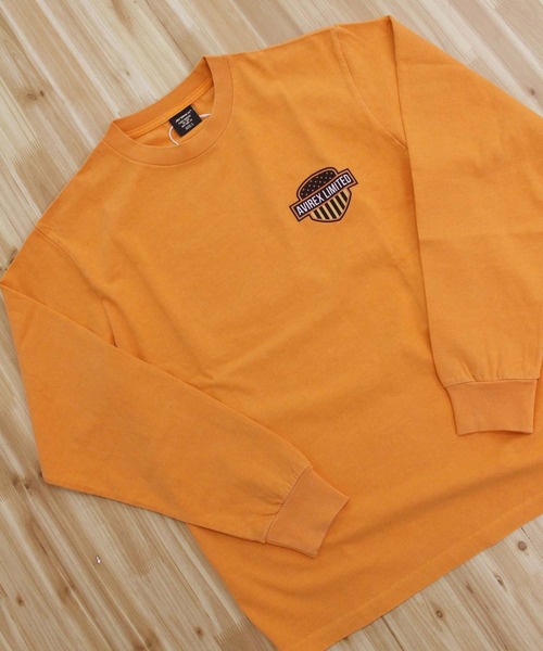 AVIREX(アヴィレックス)の「EAGLE L/S T-SHIRT(Tシャツ/カットソー・メンズ・ホワイト/オレンジ/チャコールグレー・XXL/XL/L/M)」の14枚目の写真