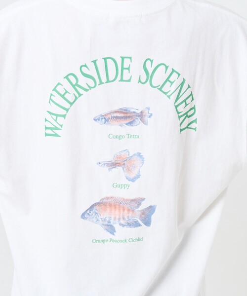 FREAK'S STORE（フリークスストア）の「FISH TEE/フィッシュTシャツ（Tシャツ/カットソー・レディース・ブラック/オフホワイト・ﾌﾘ-）」の15枚目の写真