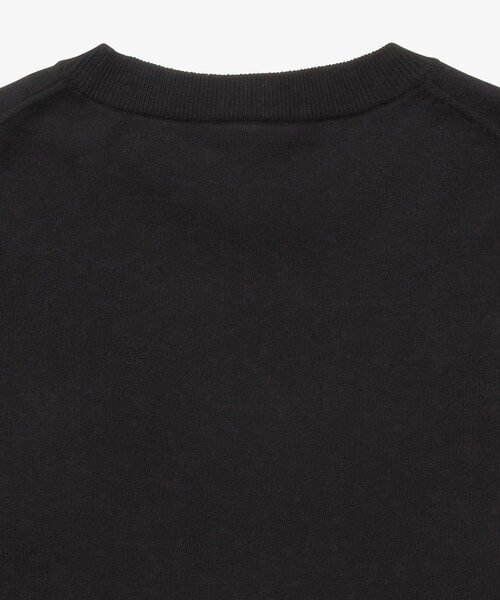 LACOSTE（ラコステ）の「ハイストレッチコットンニット半袖Tシャツ（Tシャツ/カットソー・メンズ・ホワイト/グレー/ブラック/ブルー・2/3/4/5）」の12枚目の写真