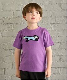 【the FOX】【防汚加工】サガラワッペンTEE