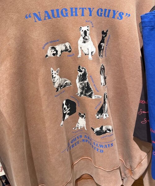 SOUNDSGOOOOD(サウンズグッド)の「【SOUNDS GOOOOD】プリント刺繍ヴィンテージスウェット(スウェット・レディース・ブラック/ベージュ/ピンク/グリーン/レッド/ベージュ系その他/ネイビー・ONE SIZE)」の4枚目の写真