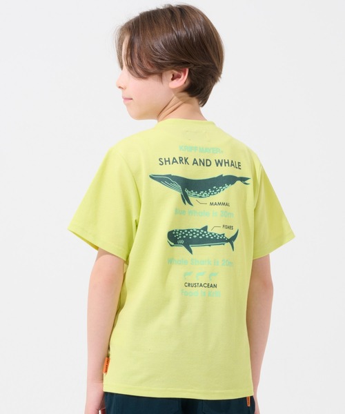 KRIFF MAYER Kid's Collection(クリフメイヤーキッズコレクション)の「【接触冷感】涼タッチシャリT(最大対決)(Tシャツ/カットソー・キッズ・ネイビー/ミント/イエロー/グレイッシュベージュ・170/160/150/140/130/120)」の4枚目の写真