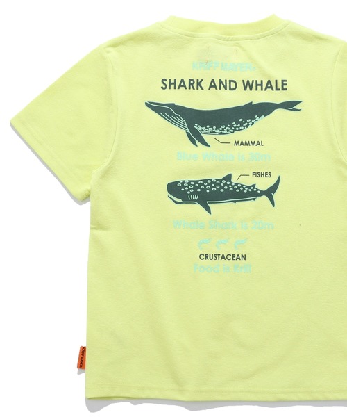 KRIFF MAYER Kid's Collection(クリフメイヤーキッズコレクション)の「【接触冷感】涼タッチシャリT(最大対決)(Tシャツ/カットソー・キッズ・ネイビー/ミント/イエロー/グレイッシュベージュ・170/160/150/140/130/120)」の17枚目の写真