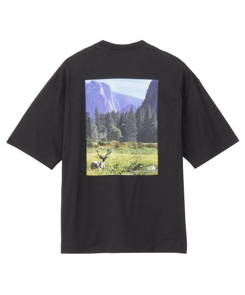 THE NORTH FACE(ザノースフェイス)の「THE NORTH FACE S/S YOSEMITE SCENERY TEE(ザ ノース フェイス ショートスリーブヨセミテシーナリーティー)(Tシャツ/カットソー・メンズ・ブラック系/ネイビー系/グレー系/ホワイト系・X-LARGE/LARGE/MEDIUM)」の10枚目の写真