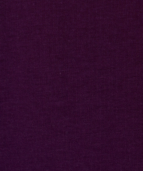 MENASOO(ミナス)の「MNS Soft Fitted Long T Shirt_Purple(Tシャツ/カットソー・レディース・パープル・F)」の21枚目の写真
