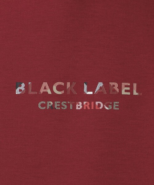 BLACK LABEL CRESTBRIDGE（ブラックレーベル・クレストブリッジ）の「【一部店舗限定】ショルダーチェックロゴフーディー（Tシャツ/カットソー・メンズ・グレー系その他/ブラック・M/L）」の21枚目の写真