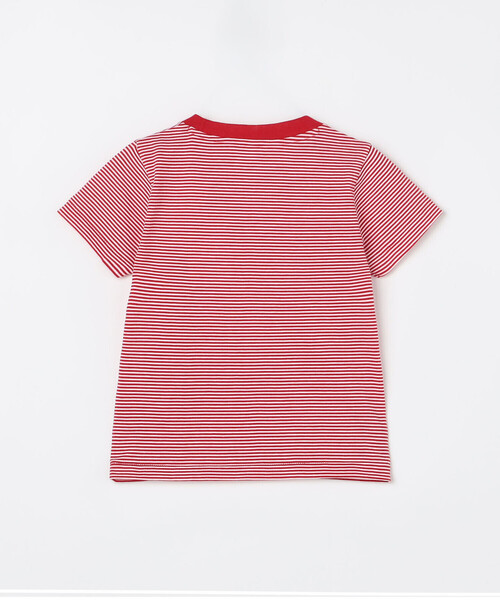 DANTON（ダントン）の「DANTON | キッズ クルーネックTシャツ STRIPE（Tシャツ/カットソー・キッズ・ブルー系その他5/イエロー系その他/レッド系その他/ブルー系その他・105/135/115/125）」の6枚目の写真