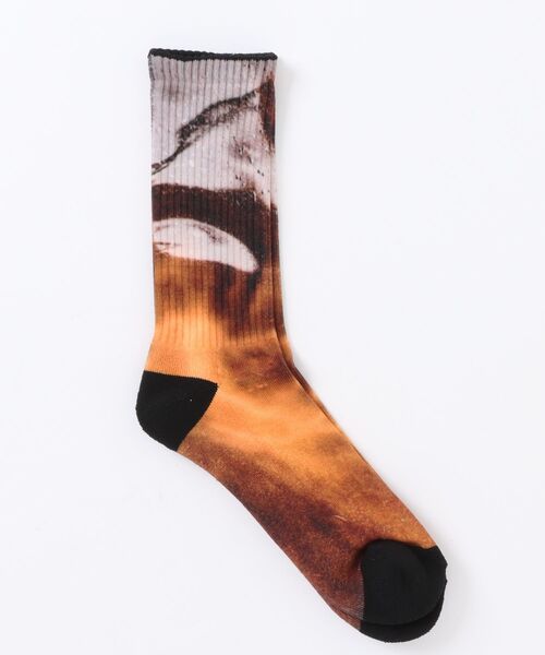 LITTLE UNION（リトルユニオン）の「【BAL】BAL-WS-001 WHIMSEY PRINTED SOCKS（ソックス/靴下・メンズ・ブラウン・F）」の2枚目の写真