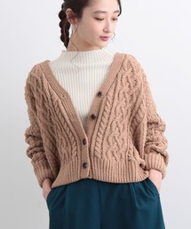 ViS�i�r�X�j�́u���[���P�[�u���J�[�f�B�K���i�J�[�f�B�K���j�v