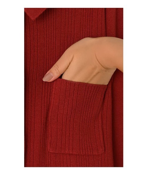 STYLE DELI(スタイルデリ)の「【LUXE】ポロ襟リブニットワンピース(ワンピース・レディース・ネイビー/レッド・01/02)」の8枚目の写真