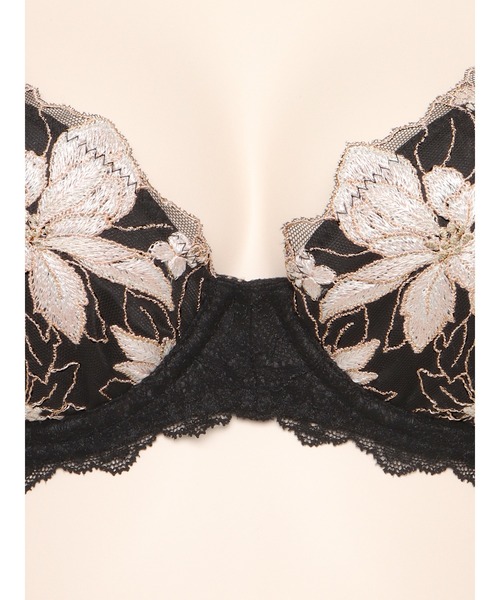 ホリーグレースシルクブラ ショーツ LINGERIEAM ランジェリアム C70