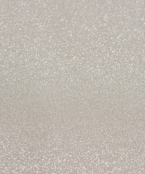 fredy emue(フレディエミュ)の「ラメタンクトップ(タンクトップ・レディース・ブラック/シルバー/ベージュ・38)」の10枚目の写真