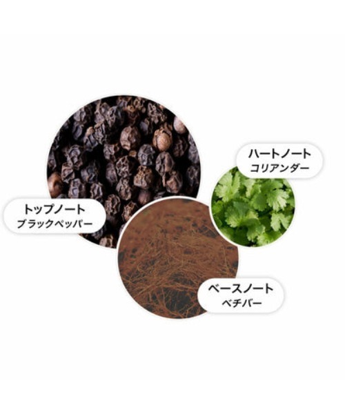 ブラックペッパー オードトワレ 100ml｜モルトンブラウン MOLTON BROWN