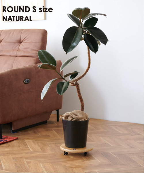 JSF PLANT CADDY-round(S) キャスター付き 植木鉢台（家具）｜journal