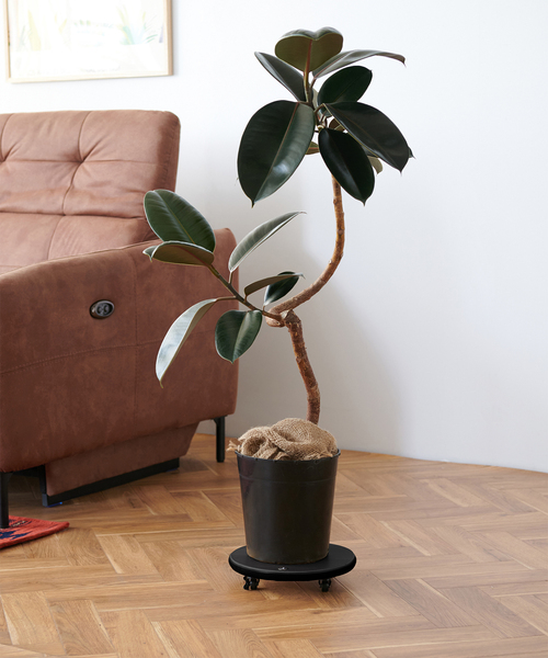 JSF PLANT CADDY-round(S) キャスター付き 植木鉢台（家具）｜journal