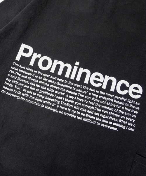 JACKROSE（ジャックローズ）の「BAYCANT ﾗﾝﾀﾞﾑﾛｺﾞﾌﾟﾘﾝﾄ L/S TEE（Tシャツ/カットソー・メンズ・ブラック/ホワイト/ライトグレー・M/L/XL）」の16枚目の写真