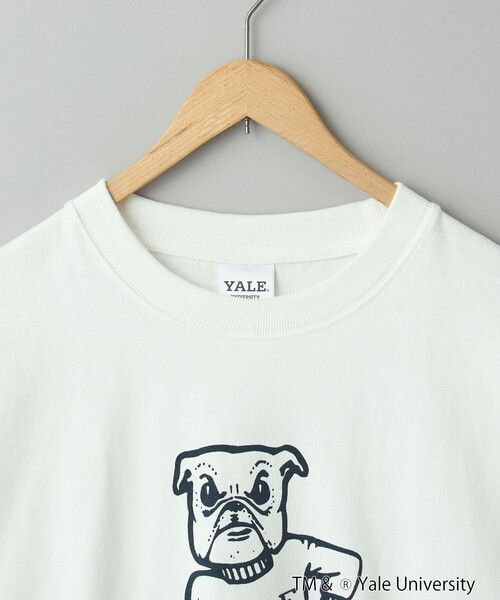 coen(コーエン)の「YALE別注 カレッジプリントTシャツ(Tシャツ/カットソー・メンズ・ホワイト/ネイビー/グレー/イエロー/コバルトブルー・M/L/XL)」の6枚目の写真