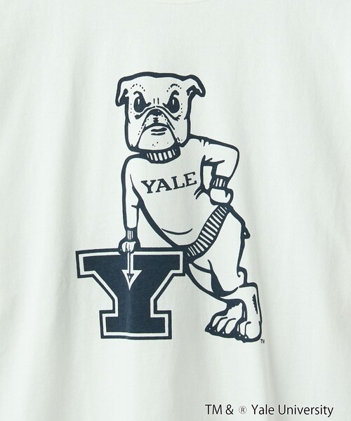 coen(コーエン)の「YALE別注 カレッジプリントTシャツ(Tシャツ/カットソー・メンズ・ホワイト/ネイビー/グレー/イエロー/コバルトブルー・M/L/XL)」の9枚目の写真