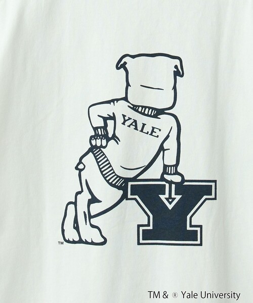 coen(コーエン)の「YALE別注 カレッジプリントTシャツ(Tシャツ/カットソー・メンズ・ホワイト/ネイビー/グレー/イエロー/コバルトブルー・M/L/XL)」の10枚目の写真