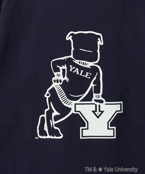 coen(コーエン)の「YALE別注 カレッジプリントTシャツ(Tシャツ/カットソー・メンズ・ホワイト/ネイビー/グレー/イエロー/コバルトブルー・M/L/XL)」の14枚目の写真