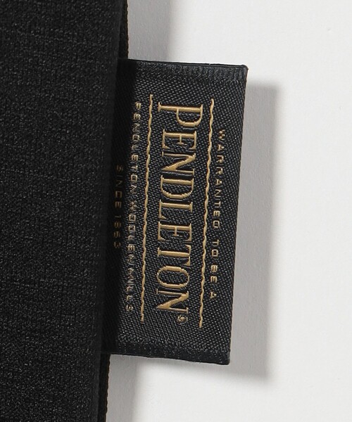 PENDLETON(ペンドルトン)の「<PENDLETON × CGS.> プリント Tシャツ/吸水速乾(Tシャツ/カットソー・メンズ・ブラック/ホワイト・M/XL/L)」の14枚目の写真