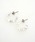 an meets zakka�i�A���~�c�U�b�J�j�́uan meets zakka �����C�����W���O�j���O�j���t�[�v�s�A�X�i�s�A�X�i�����p�j�j�v�b�V���o�[�n