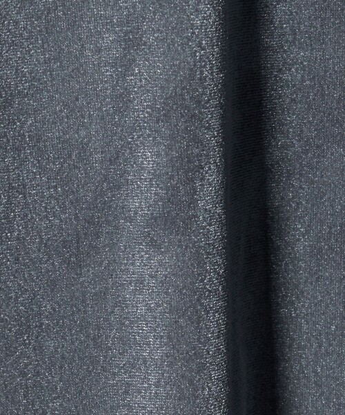 MARW UNITED ARROWS(マルゥ ユナイテッドアローズ)の「<MARW UNITED ARROWS>シアー ベロア カットソー(Tシャツ/カットソー・レディース・オフホワイト/グレー系/ブラック・FREE)」の15枚目の写真