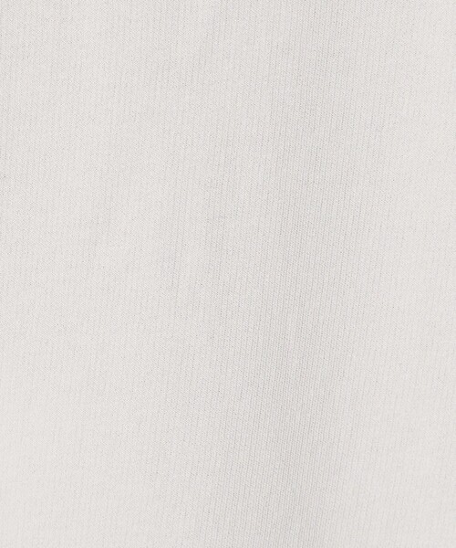 green label relaxing(グリーンレーベルリラクシング)の「ディペンド インレイ クルーネック カットソー(Tシャツ/カットソー・メンズ・グレー系/パープル/ダークグレー・M/XL/S/L)」の16枚目の写真