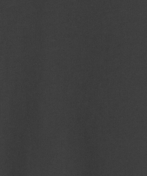 green label relaxing(グリーンレーベルリラクシング)の「ディペンド インレイ クルーネック カットソー(Tシャツ/カットソー・メンズ・グレー系/パープル/ダークグレー・M/XL/S/L)」の20枚目の写真