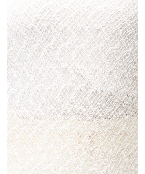TONAL(トーナル)の「カットレースフレアスリーブプルオーバー(Tシャツ/カットソー・レディース・その他2/ブラック/その他/オフホワイト・MEDIUM)」の15枚目の写真
