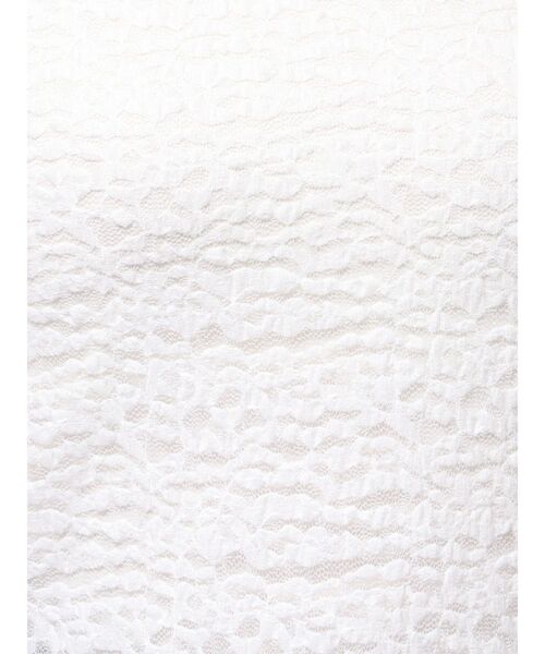 TONAL(トーナル)の「カットレースフレアスリーブプルオーバー(Tシャツ/カットソー・レディース・その他2/ブラック/その他/オフホワイト・MEDIUM)」の17枚目の写真
