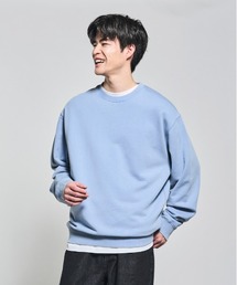 BACK NUMBER（バックナンバー）の「【BACK NUMBER】ピグメント加工クルーネックトレーナー (ドロップショルダー / ボックスシルエット / ユニセックス)（スウェット）」