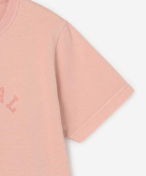 ORCIVAL(オーシバル)の「ORCIVAL | ジャージーニット コンパクトプリントTシャツ WOMEN(Tシャツ/カットソー・レディース・ピンク/グレイッシュベージュ/チャコール・1)」の7枚目の写真