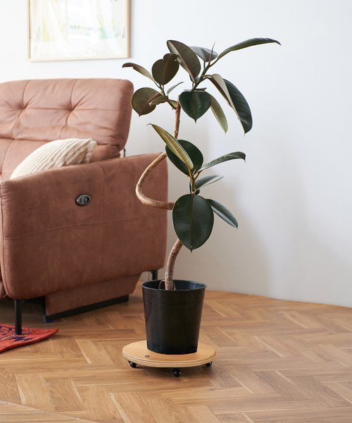 ジャーナルスタンダードファニチャー　木製二段シェルフ 車輪付き 120cm JSF PLANT CADDY-square キャスター付き 植木鉢台（家具