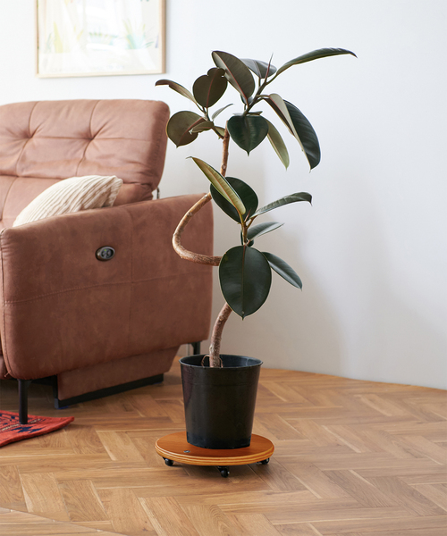 ジャーナルスタンダードファニチャー JSF PLANT CADDY-round(L) キャスター付き 植木鉢台（家具