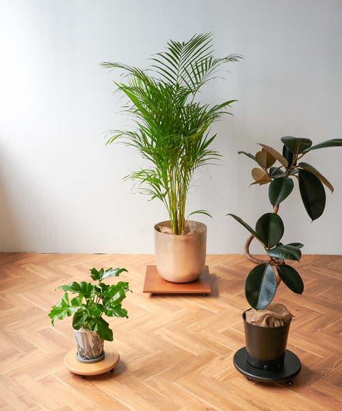 JSF PLANT CADDY-round(L) キャスター付き 植木鉢台（家具）｜journal standard Furniture （ジャーナルスタンダードファニチャー）